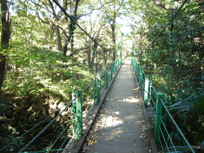 砧公園内の吊り橋