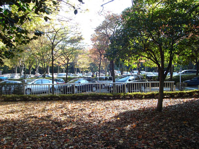 砧公園の駐車場